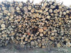 Prodej palivového dřeva - foto 2