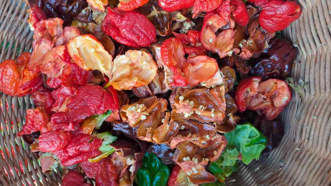 Chilli tinktura domácí (extra silná) 96% - foto 3