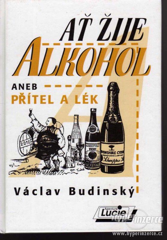 Ať žije alkohol aneb přítel a lék  Václav Budinský - foto 1