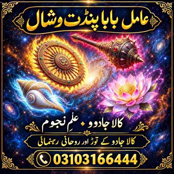 Amil Baba kala jadu in USA|Kala jadu in Astrologer |USA