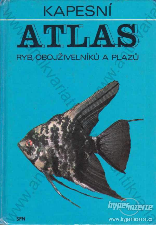 Kapesní atlas ryb, obojživelníků a plazů Štěpánek - foto 1