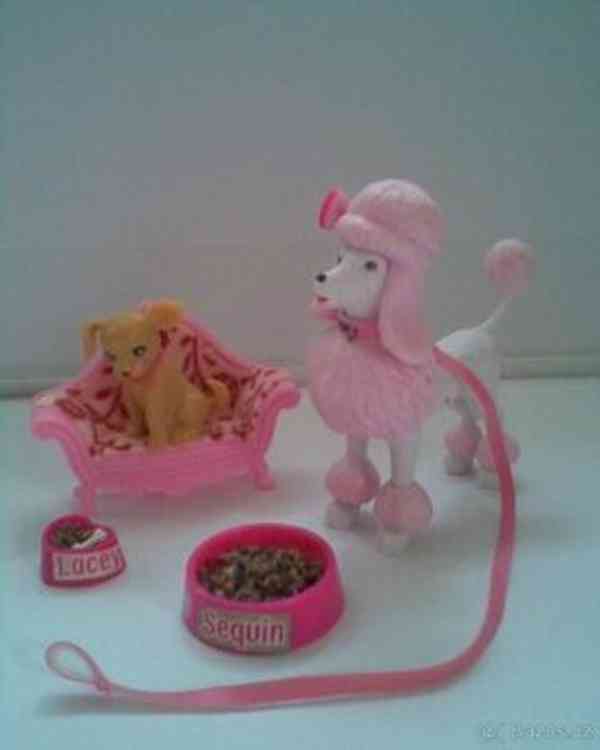 Nový obyvák pro Barbie - foto 9