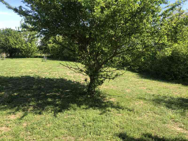 Pronájem zahrady ve Zdibech – 500 m², krásné prostředí - foto 8