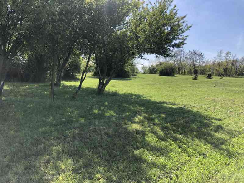 Pronájem zahrady ve Zdibech – 500 m², krásné prostředí - foto 6