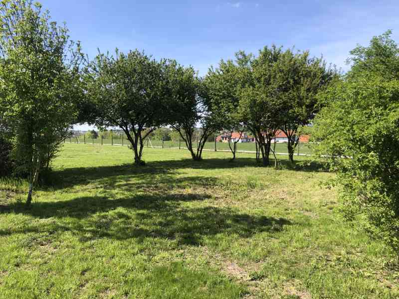 Pronájem zahrady ve Zdibech – 500 m², krásné prostředí - foto 1