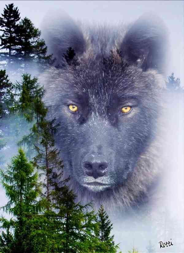 Mi se o Vás rozkrájíme - foto 2