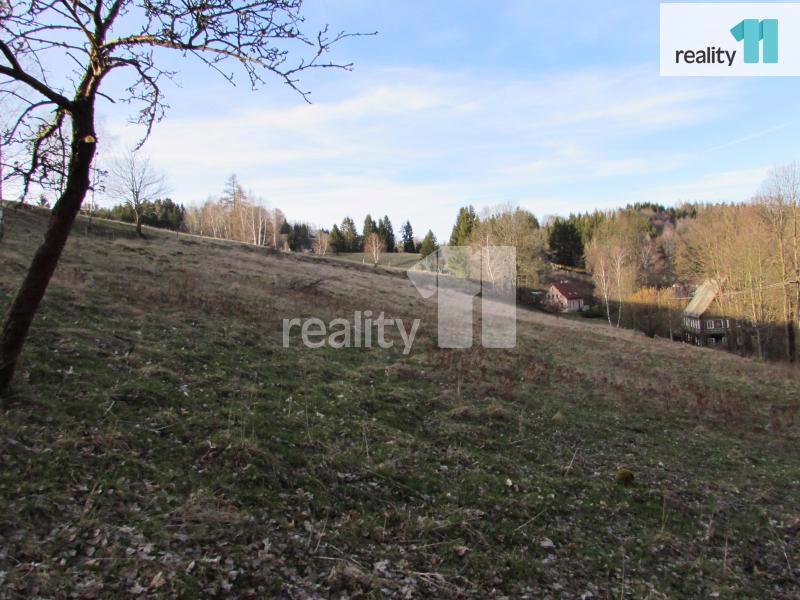 Prodej pozemků, 5827m2, Vlčí Hora, okres Krásná Lípa - foto 2