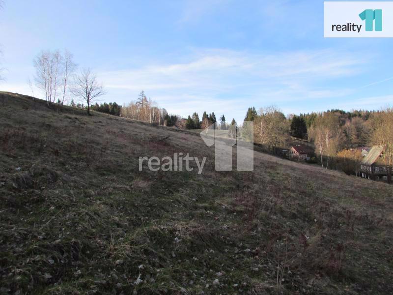 Prodej pozemků, 5827m2, Vlčí Hora, okres Krásná Lípa - foto 4