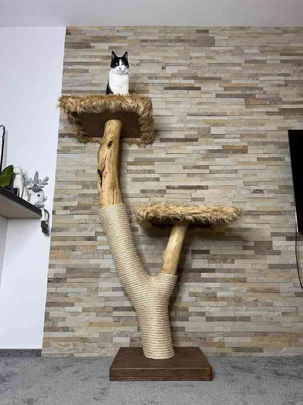 Kočičí stromy - foto 1