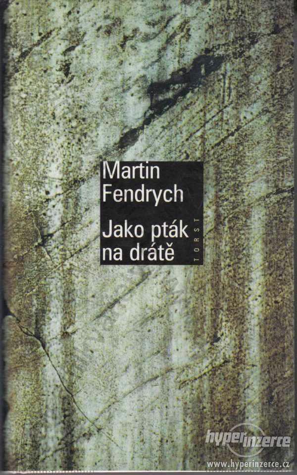 Jako pták na drátě Martin Fendrych 1998 - foto 1