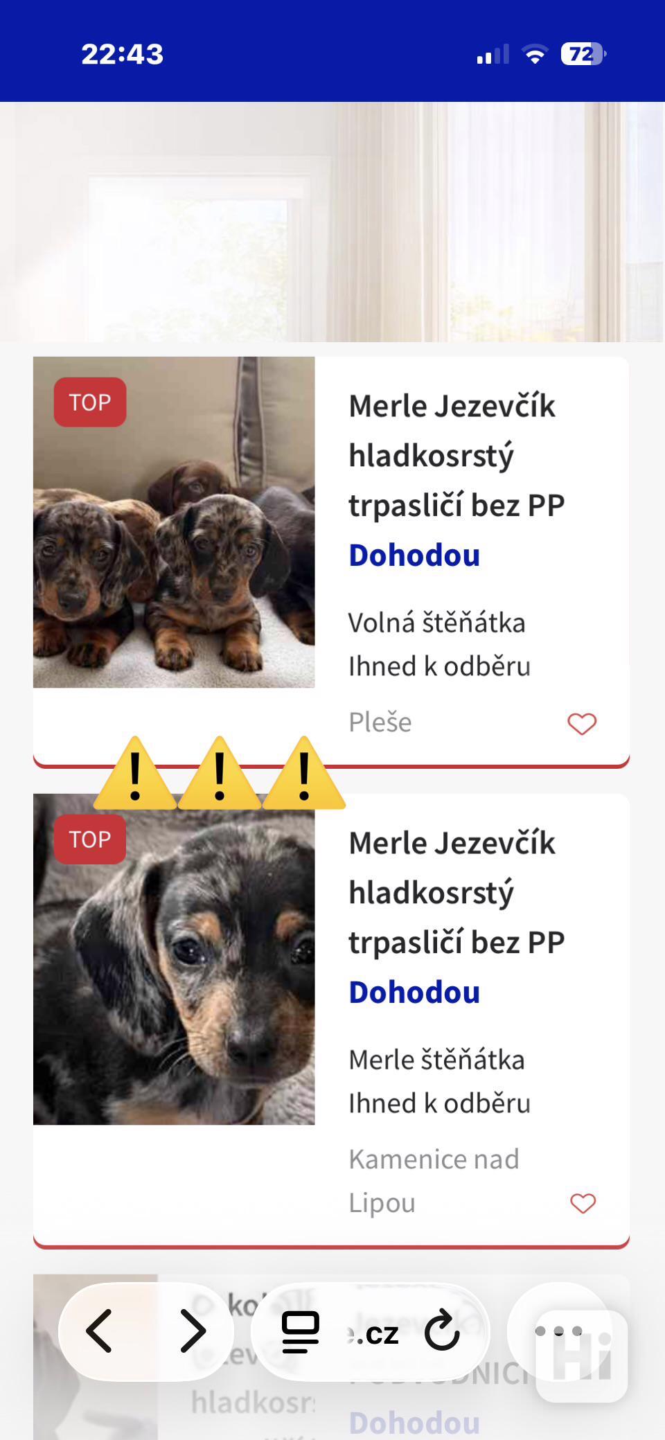 Jezevcik-POZOR ⚠️ - foto 1