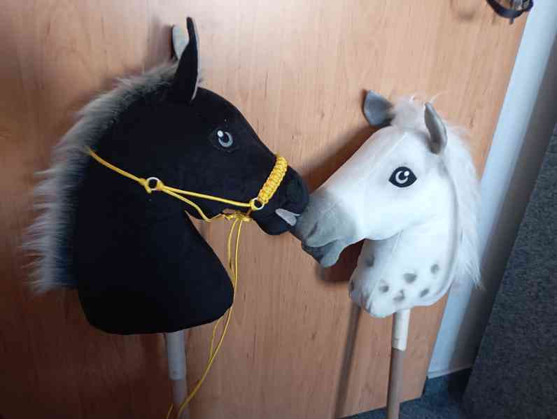 Hobby horse koník na tyči  - foto 2