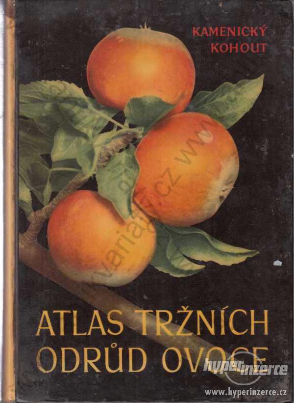 Atlas tržních odrůd ovoce K.Kamenický, K.Kohout - foto 1