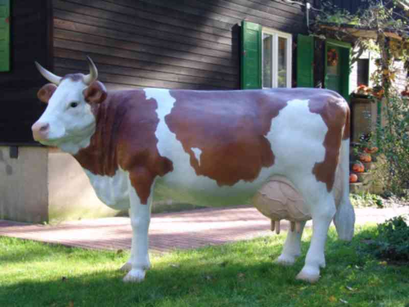 Koupím plastovou maketu krávy/býka v životní velikosti - foto 2