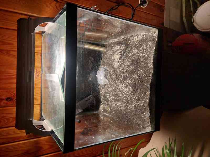 Akvárium 48L (Světlo,kryt,filtr,topení,stolek,..) - foto 5