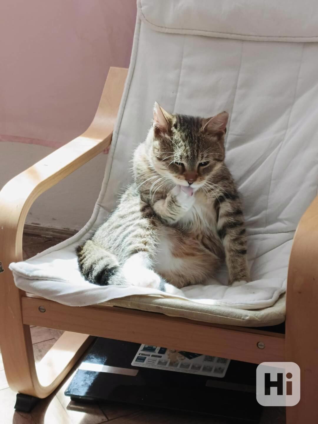 Velký kamarád Dodík - foto 1