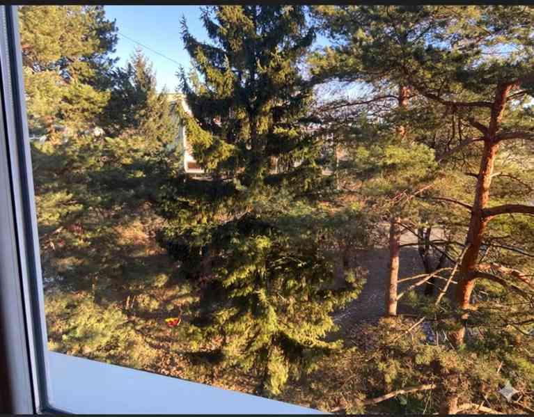 pronájem bytu - foto 6