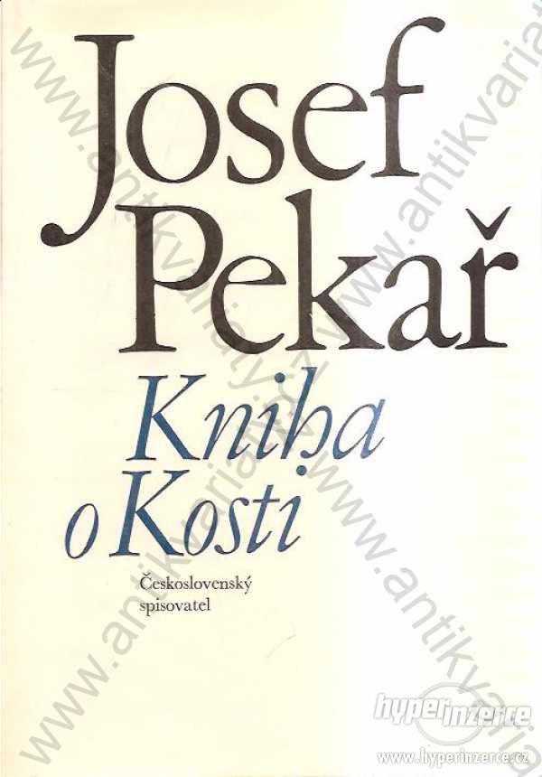 Kniha o Kosti Josef Pekař - foto 1