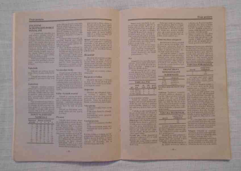 Dračí doupě Průvodce hrou pro začátečníky verze 1.2 - 1992 - foto 4