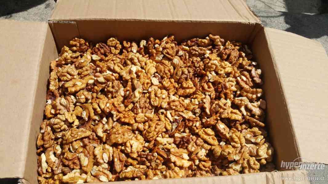Vlašské ořechy loupané 2017 - 1 kg - foto 2