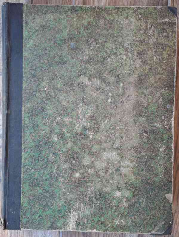 Národní politika 1888 - foto 2