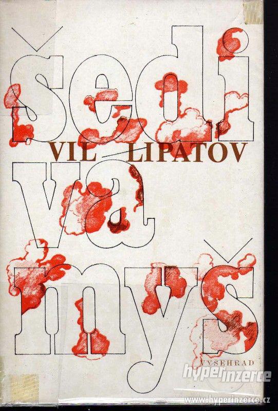 Šedivá myš  Vil Vladimirovič Lipatov - 1980 - foto 1