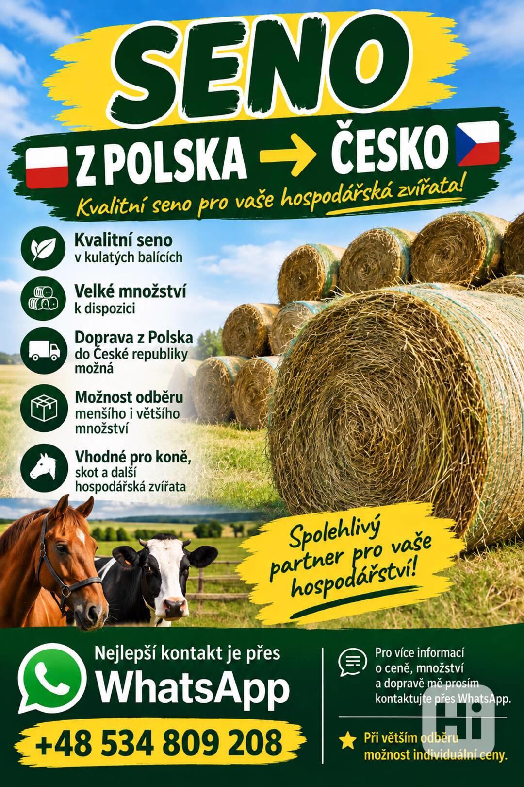 PRODEJ SENA Z POLSKA – VELKÉ MNOŽSTVÍ K DISPOZICI - foto 1