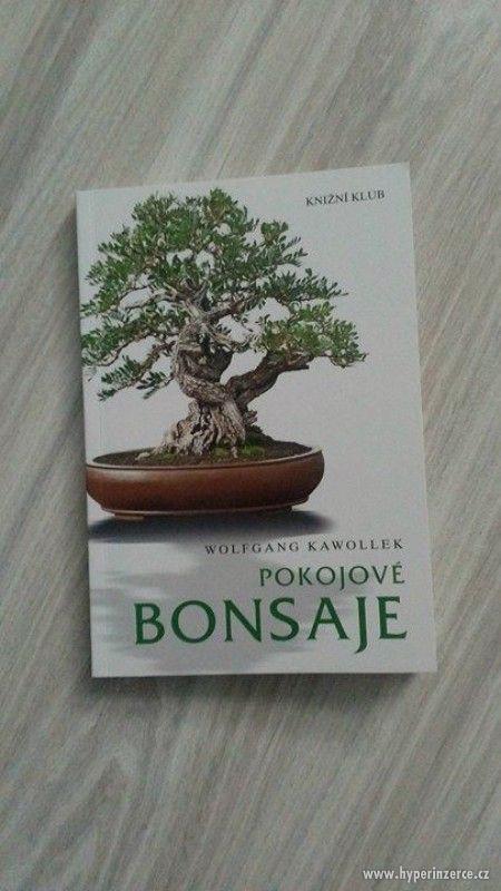 Pokojové bonsaje - foto 1