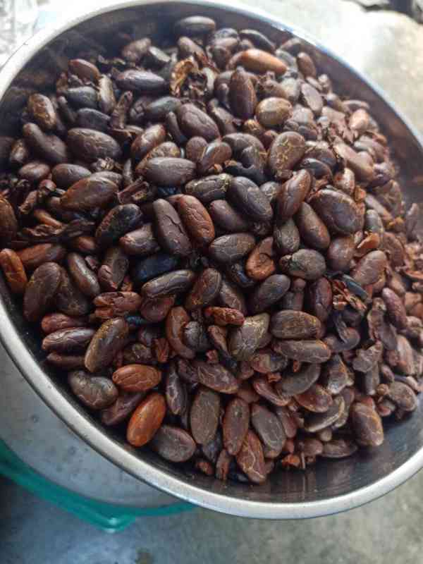 Looking for Premium Raw Cacao Beans | Cocoa Beans, Cocoa But - foto 2