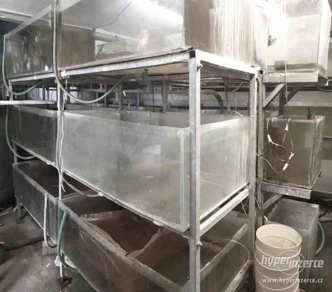 Kompletní rybárna/pěstírna akvarijních ryb - akvária 35.000 - foto 1