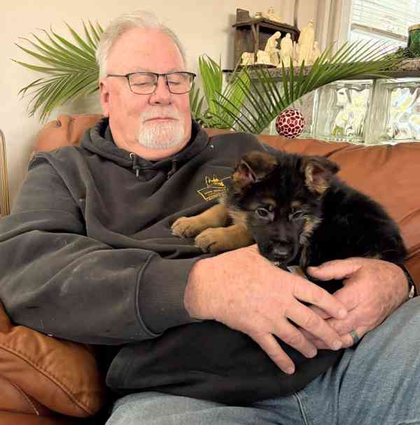 ××Silná štěňata německého ovčáka s pp Ahoj všichni, nyní k 