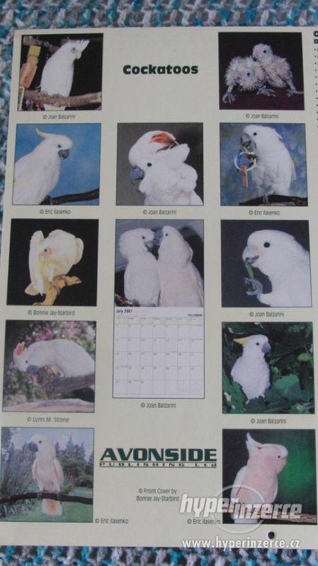 Kakaduové - kalendář 2007. - foto 3