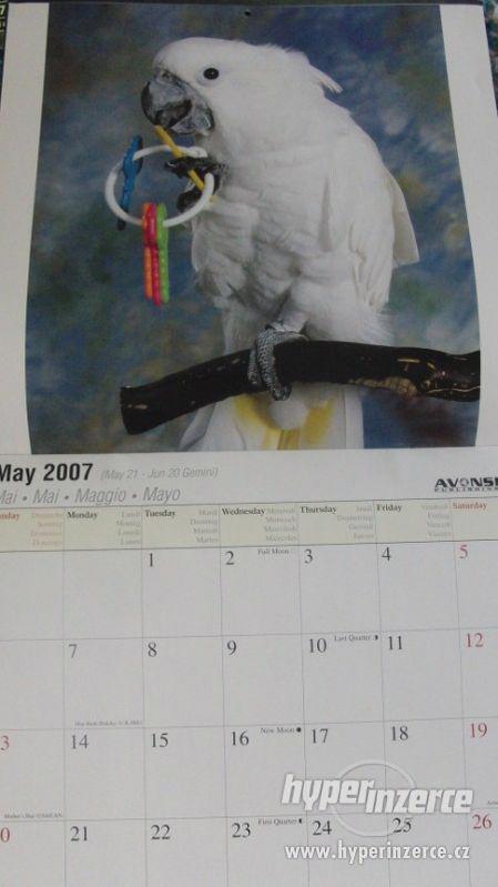 Kakaduové - kalendář 2007. - foto 4