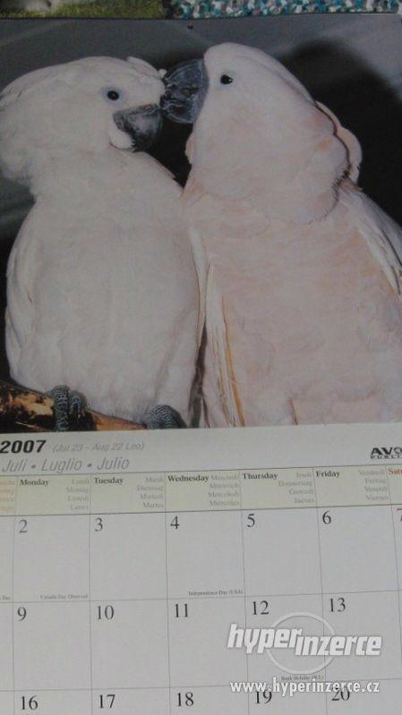Kakaduové - kalendář 2007. - foto 5
