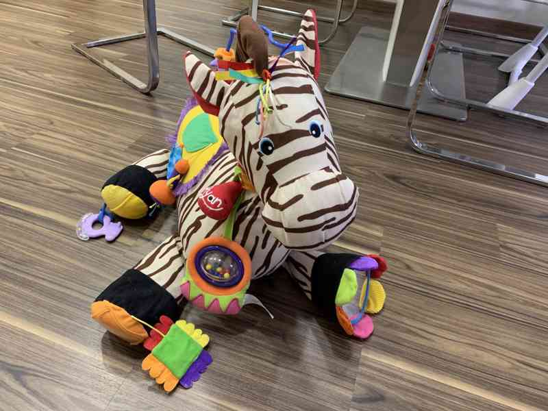 Interaktivni zebra  - foto 3