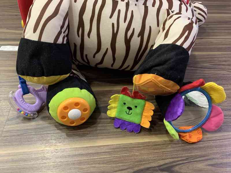 Interaktivni zebra  - foto 4