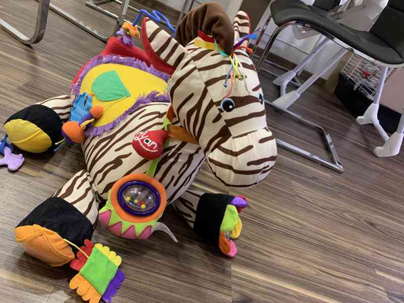 Interaktivni zebra  - foto 2