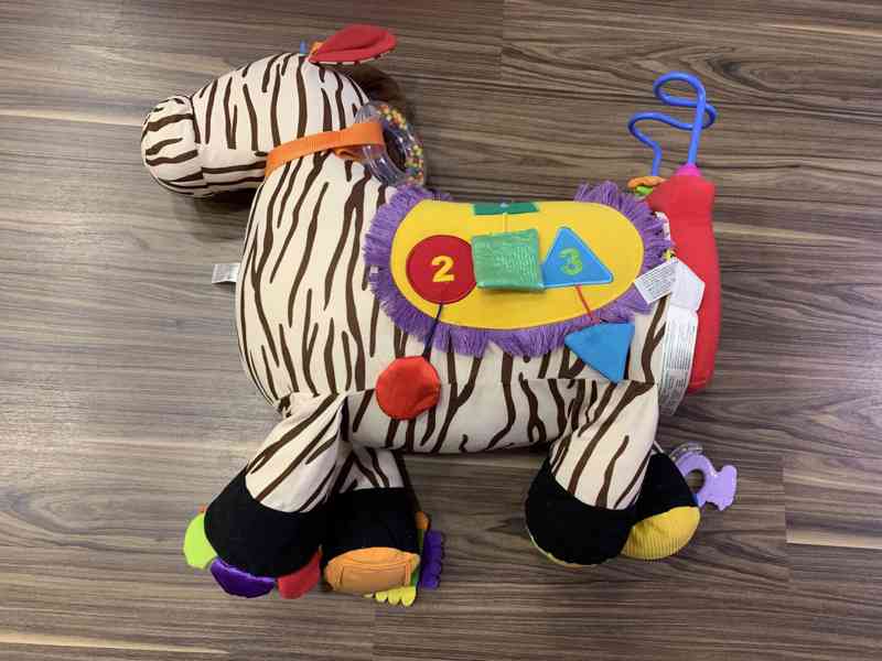 Interaktivni zebra  - foto 7