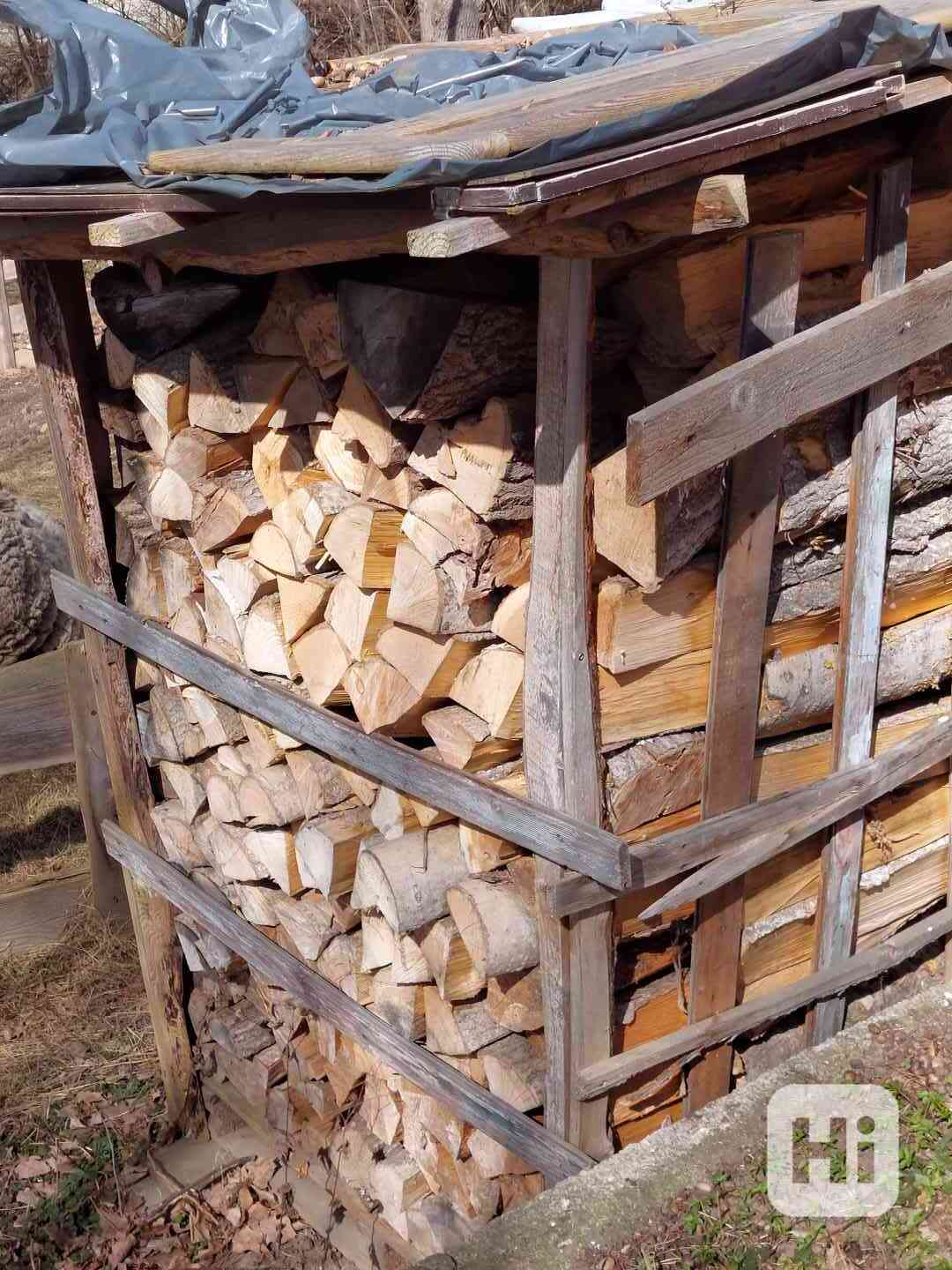 palivové dřevo suché - foto 1