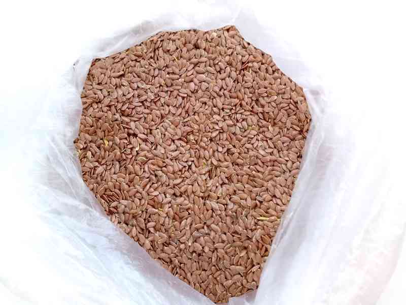 Brown flaxseed / linseed - foto 1