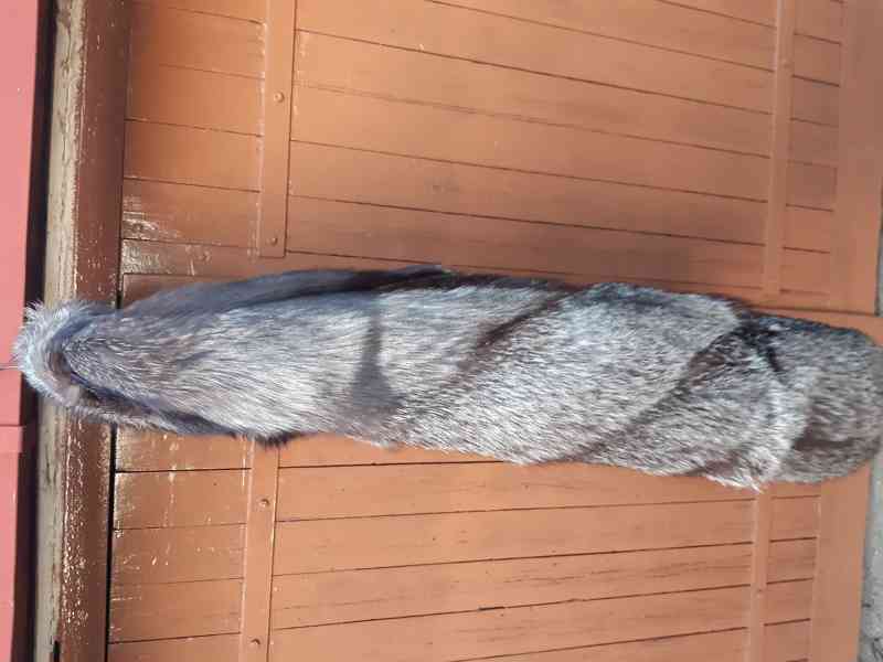 Dámský kožich - stříbrná liška Paleto  - foto 2