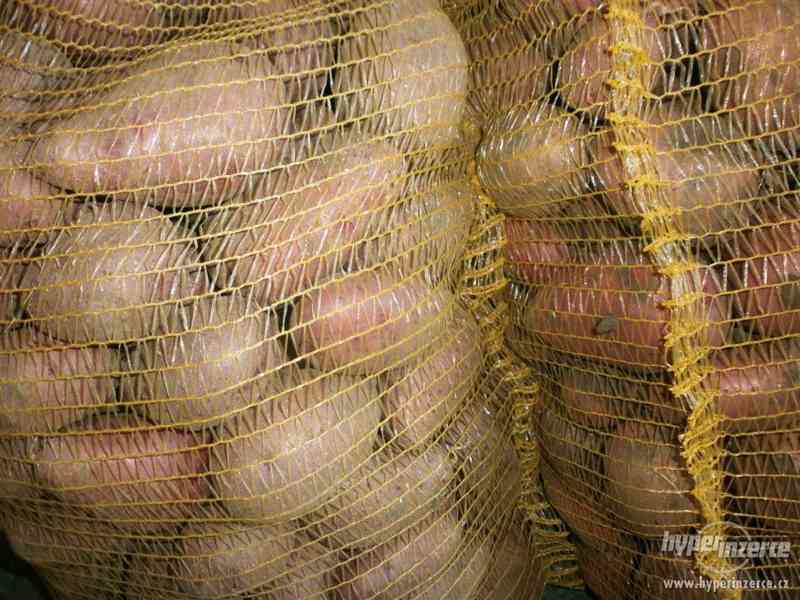 Akce: Domácí brambory konzumní i sadbové - foto 2