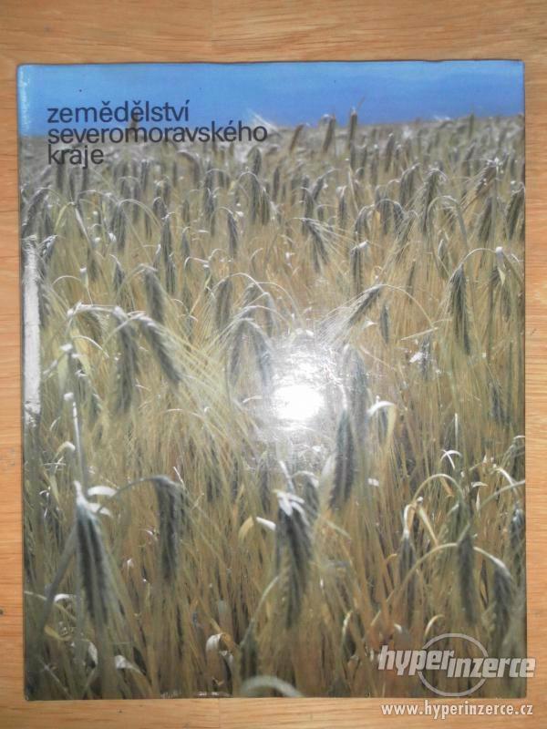 Prodám knihu Zemědělství severomoravského kraje - foto 1