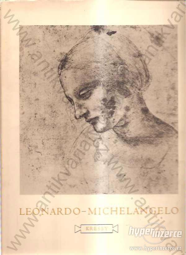 Leonardo - Michelangelo Jaromír Pečírka - foto 1