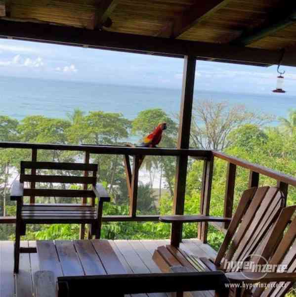 Dobrovolnická stáž v hotelu na Kostarice - foto 1