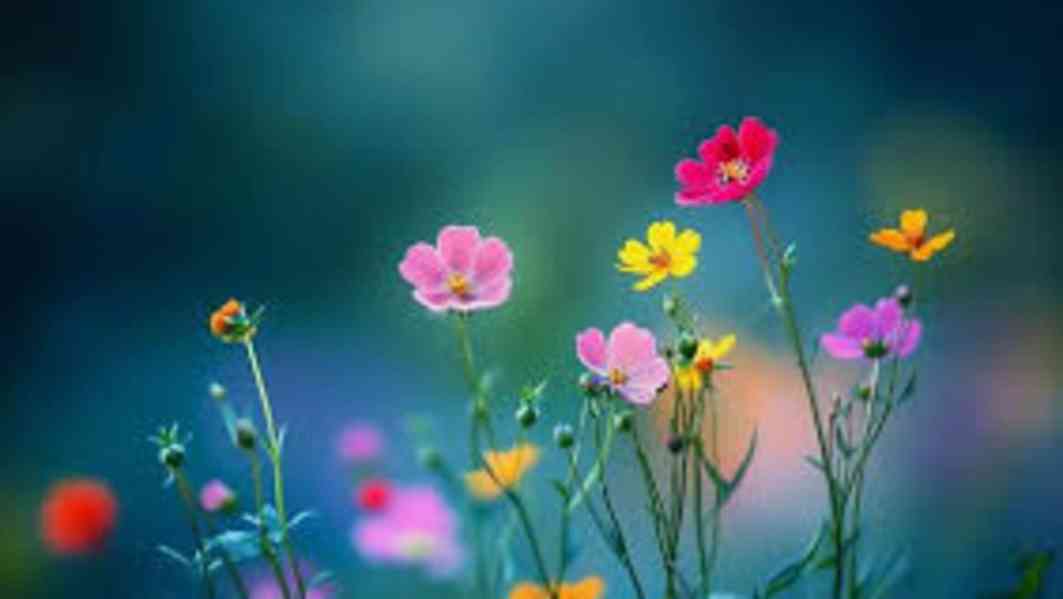 fhjfhfhfggggggggggggg - foto 1