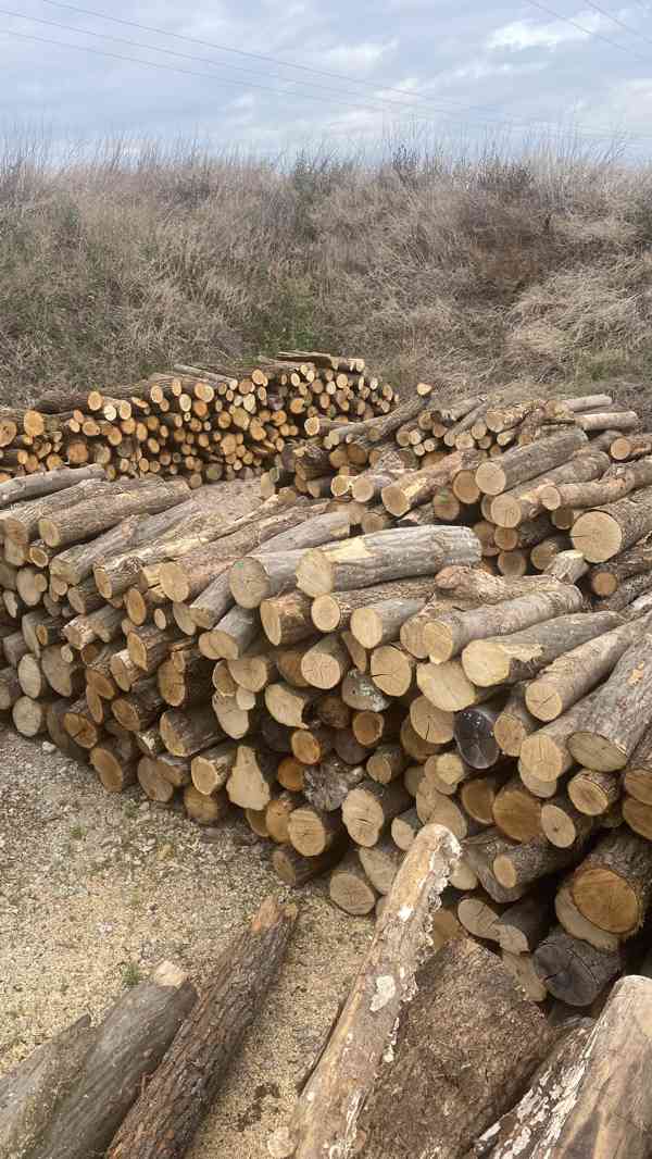 Palivové dřevo tvrdé v metrech polosuché - foto 3