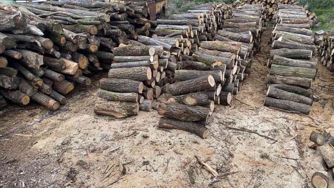 Palivové dřevo tvrdé v metrech polosuché - foto 2