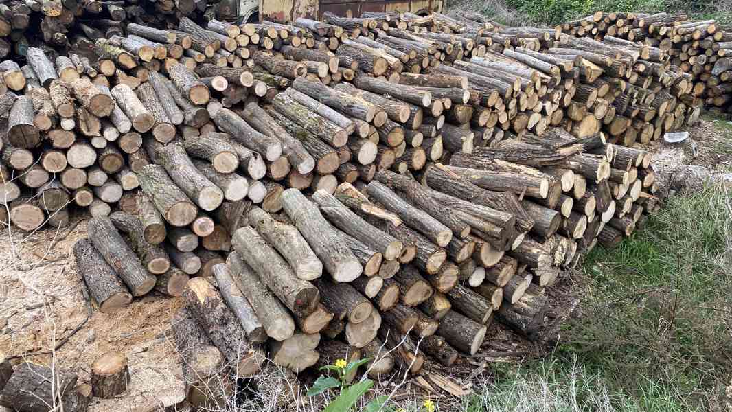 Palivové dřevo tvrdé v metrech polosuché